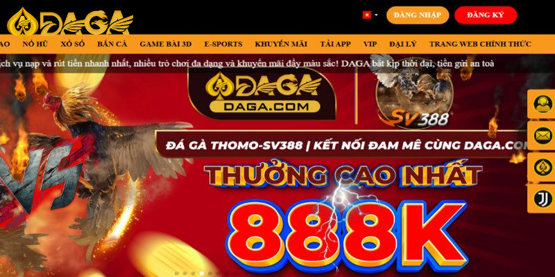 Khám phá sảnh game đá gà tại DAGA