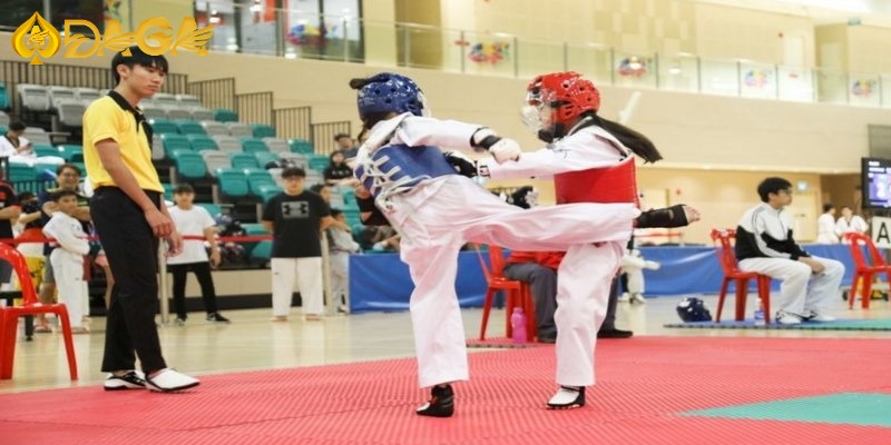 Nội dung chính của giải đấu Taekwondo toàn quốc